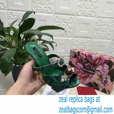 Dolce  &  Gabbana Crystal Heel 10.5cm Python Mules Green 2021